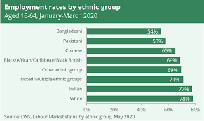 Exploring Ethnic Inequalities in Employment