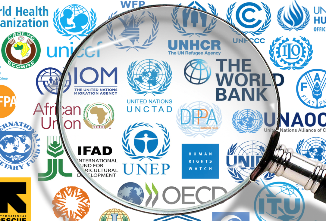 Understanding IGOs in Global Development