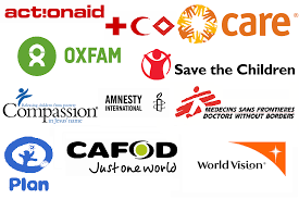 Understanding NGO Roles in Global Development